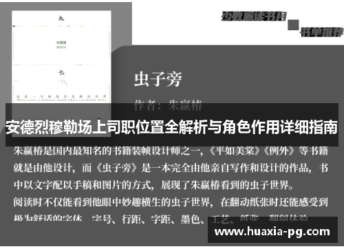 安德烈穆勒场上司职位置全解析与角色作用详细指南