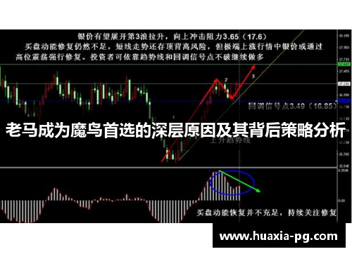 老马成为魔鸟首选的深层原因及其背后策略分析