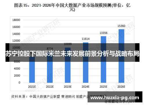 苏宁控股下国际米兰未来发展前景分析与战略布局